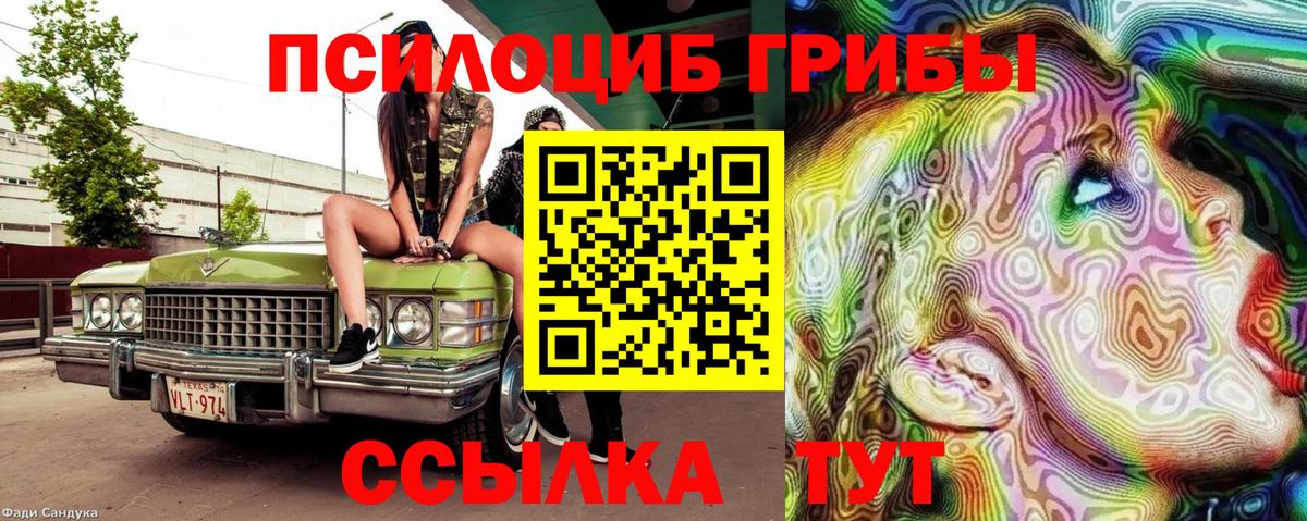 Псилоцибиновые грибы MAGIC MUSHROOMS  Вход с VPN  Рославль 